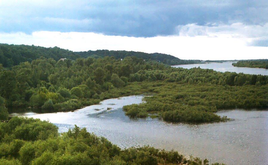 Pripyatsky National Park, Gomel Region, Belarus